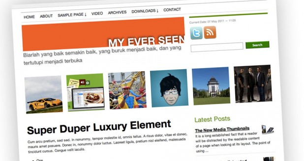 Widodo WP Theme Feature