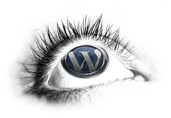 wordpress theme